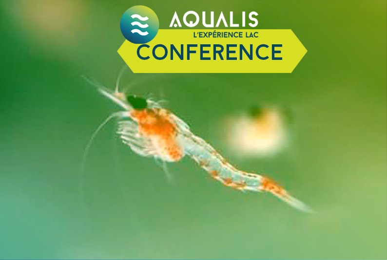 conference aqualis hemymisis