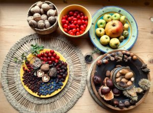 Balade reconnaissance des plantes, et Atelier "Chandeleur nature & Gourmandises sauvages"