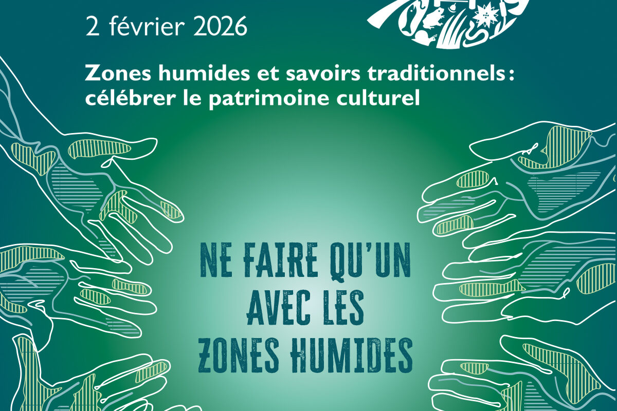 carrouselhomemobilegenerique_1200x1200-1-1200×800