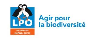 [Bénévolat] – Participez aux sauvetages routiers des amphibiens en Savoie !