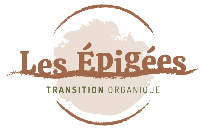 Logo-Les-Epigees