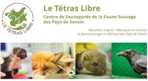 Consultation publique “Espèces Susceptibles d’Occasionner des Dégâts (ESOD)”
