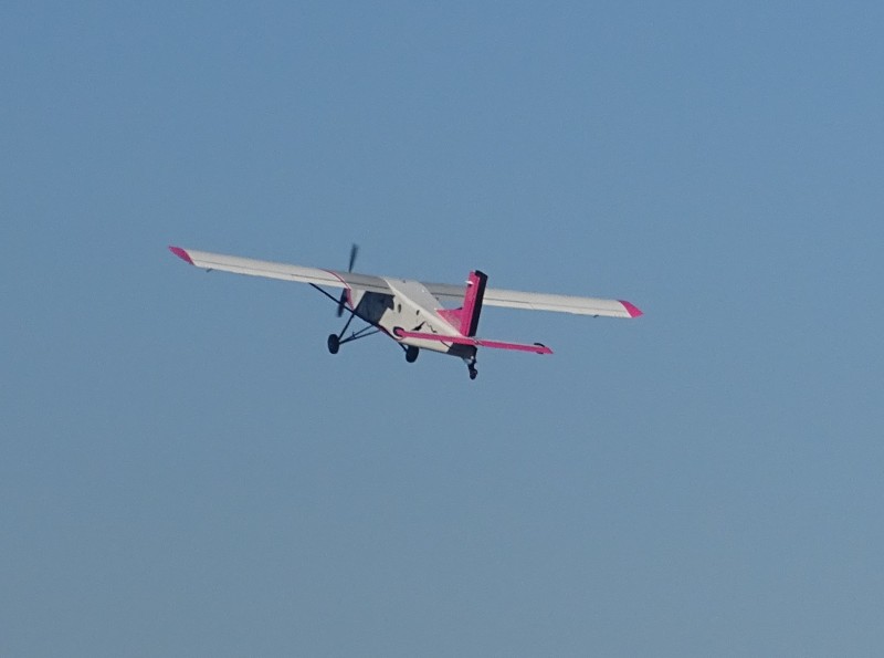 DSC08081 v1
